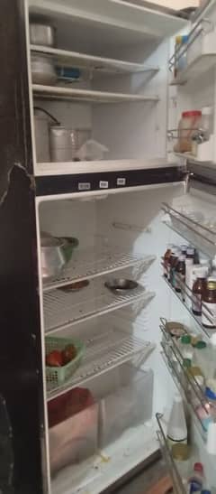 dawlance jumbo refrigerator
