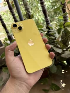 14 plus