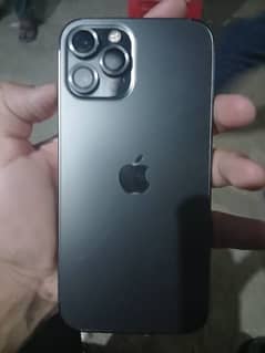 iPhone 12 Pro Max 256 GB