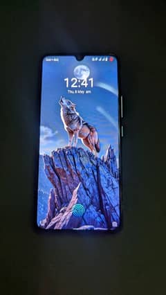 VIvo