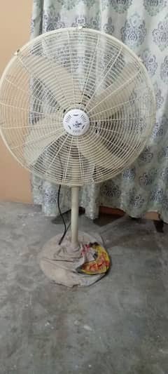 RODA