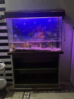 Fish Aquarium with Beautiful  Stand with tire