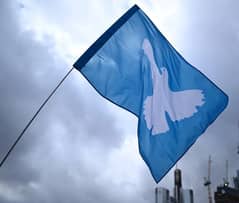 Pace flag  - | 03008003560 | from lahore