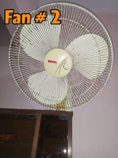 Fan