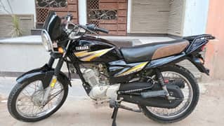 2023 Yamaha Ybr-125Z All Punjab Num