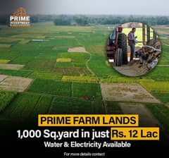 FARMHOUSE & CATTLE FARM LAND