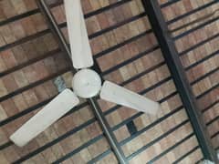 Ceiling