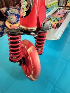scoter