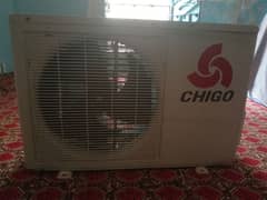 Chigo