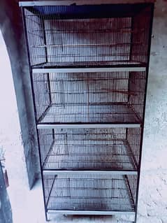 Birds cage