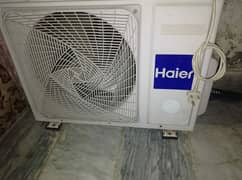 Haeir