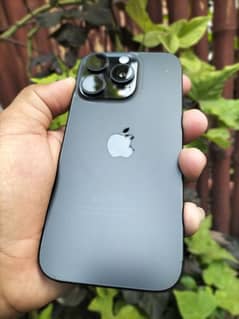 iPhone