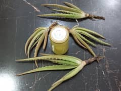 pure 100% aloe vera gel jare