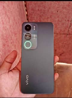 Y19 s (brand new)