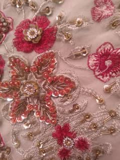 Organza Fabric is  Daman cutwork Moti work