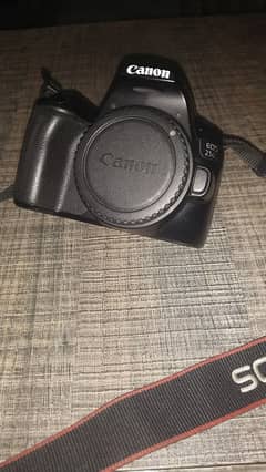 camera 250D canon . . . lens 50mm Canon f/1.8 . . . and 18/55 ket lens