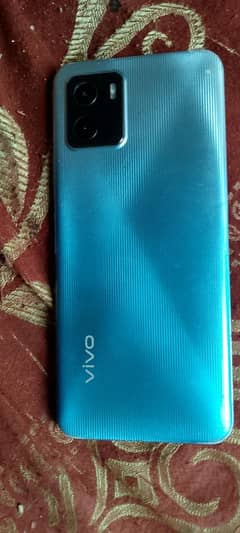 vivo