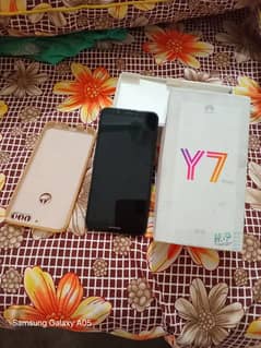 y7 prime with box