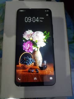 Vivo