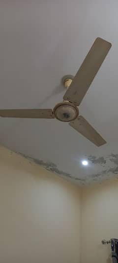 ceiling