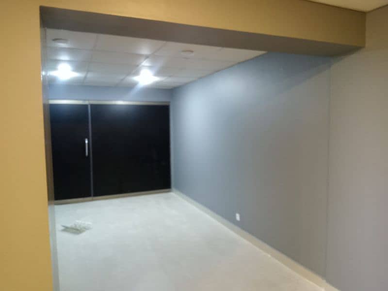 Painter 0