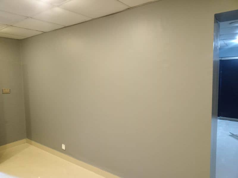 Painter 1