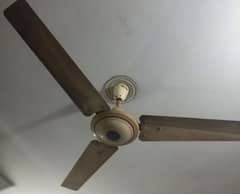 GFC