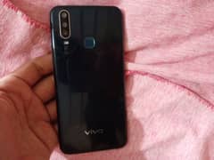 Vivo