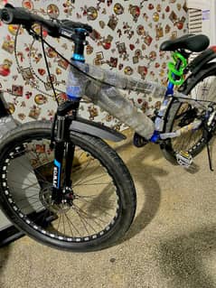 BICYCLES BRAND