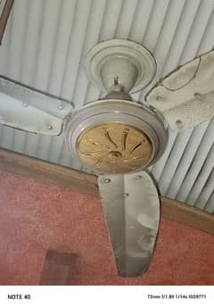 ceilling