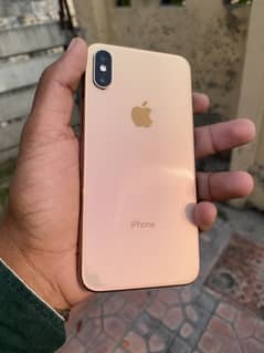 iPhone XS Golden Official PTA Approve