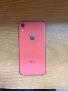 iPhone XR