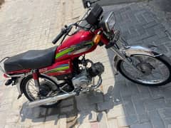 Rohi
