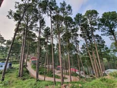Residential Plots Are Available For Sale