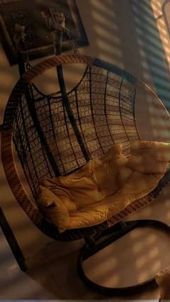 Double Seater Golden  stand Jhola.