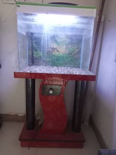 IMPORTED ONE PIECE AQUARIUM FOR SELL
