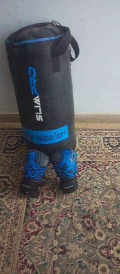punching bag with gloves
