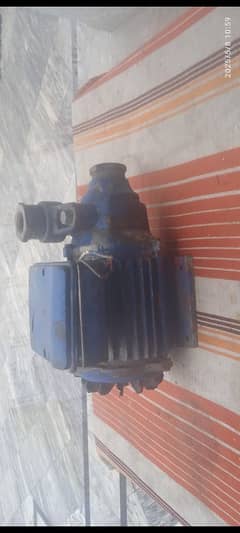 pani