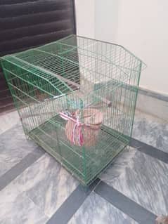 parrot and hen cage pinjra