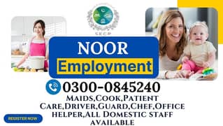 Chinese Cook Baby Sitter Chef Helper Nanny Nurse House Maid Available
