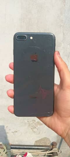 64