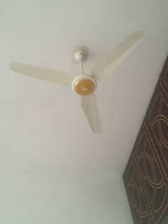 ceiling