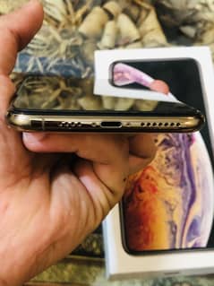 xsmax 256 PTA aproved