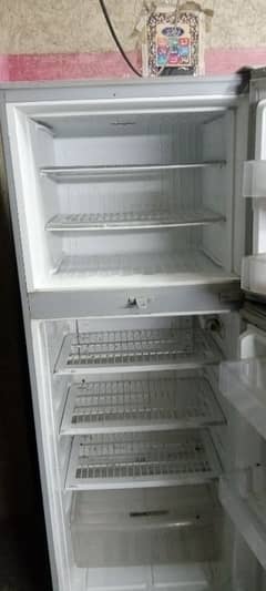 PEL Fridge large size 5.5 ft