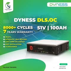 dyness lithium battery 51.2V