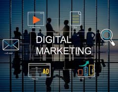 Looking Digital Marketing Expert
