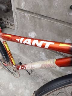 for