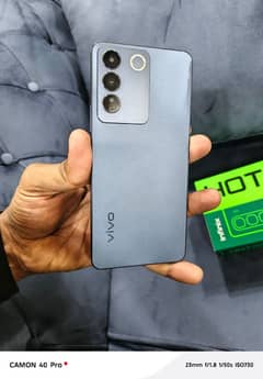 vivo