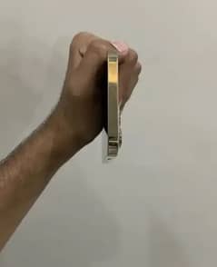 iPhone 12pro max (factory unlock)