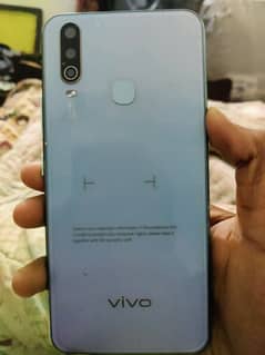 Vivo